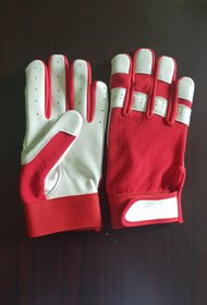 Gloves Range